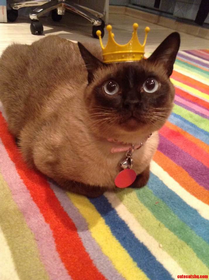 We Made a Crown for Our Little Princess