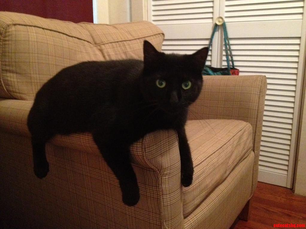 Wednesday Is Not Amused.