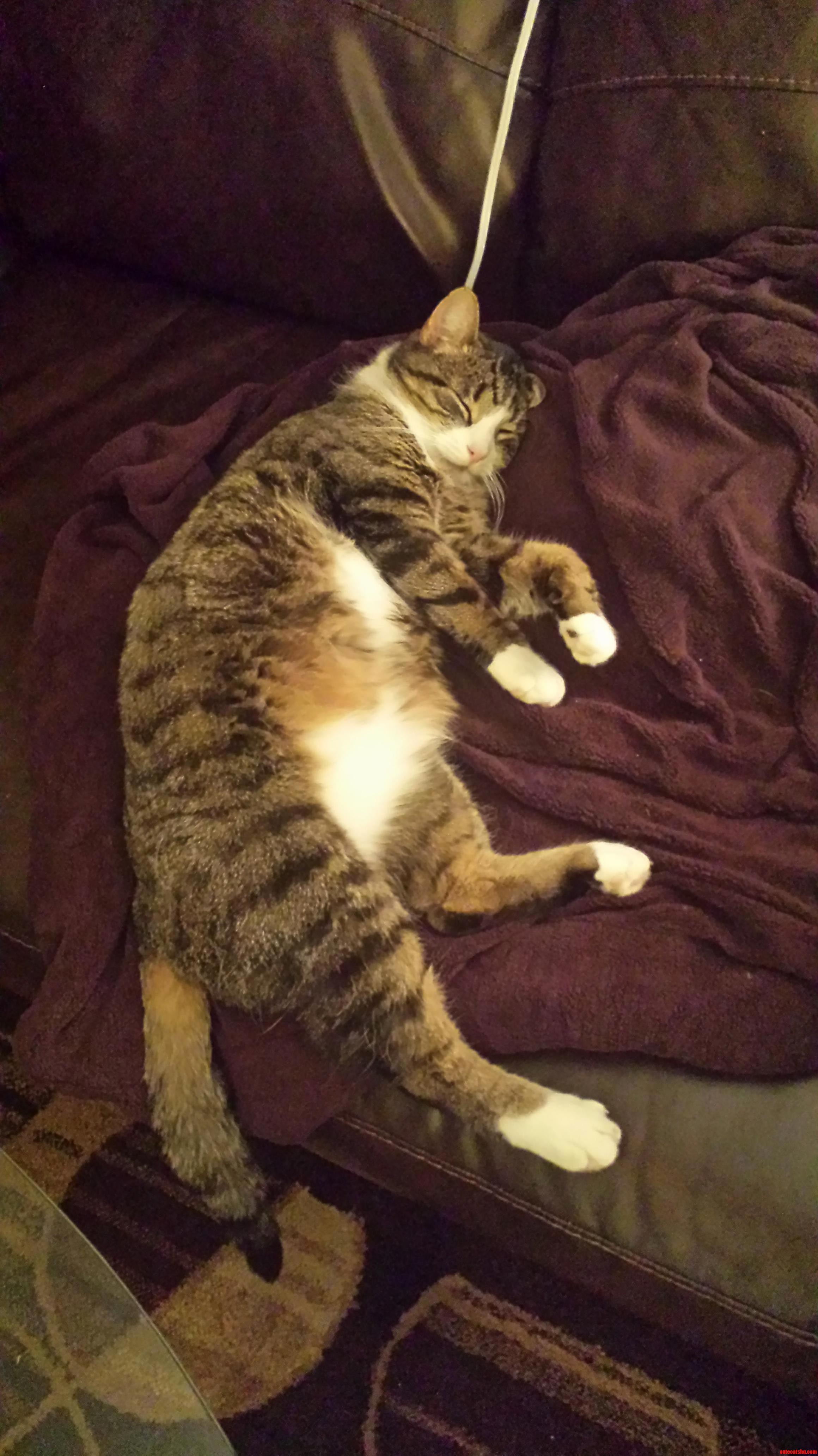 Well Arent You Comfortable