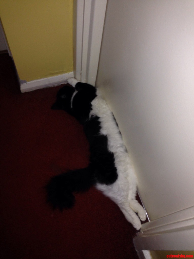 Who Needs a Door Stopper When You Have This