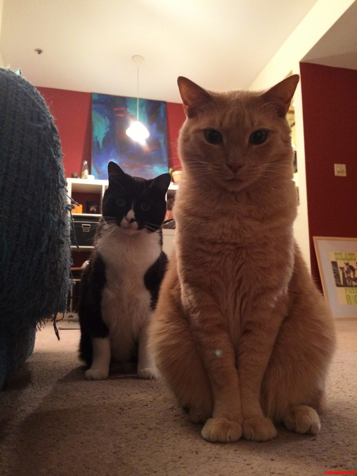 Will There Be More Presents Tomorrow