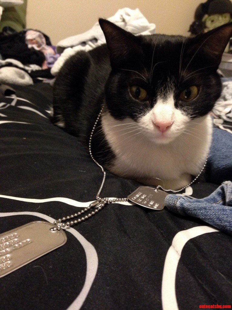 2 Chains