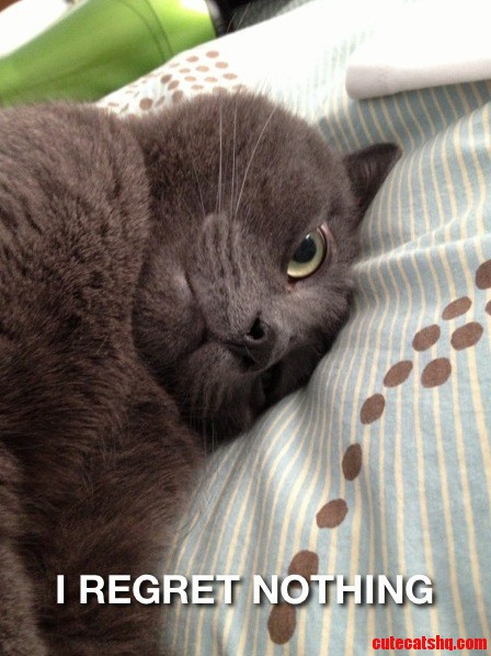 After Peeing All Over My Bed. I Still Love Him Though.