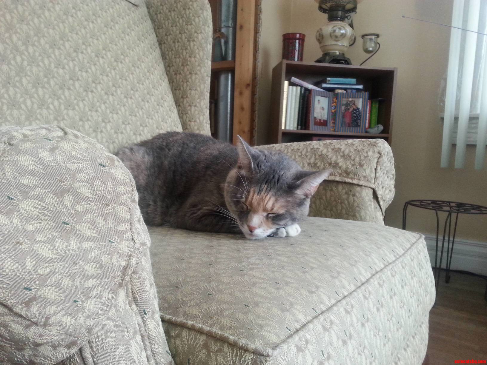 After Riding in a Car for 1100 Miles ID Say Shes Adjusting Well.