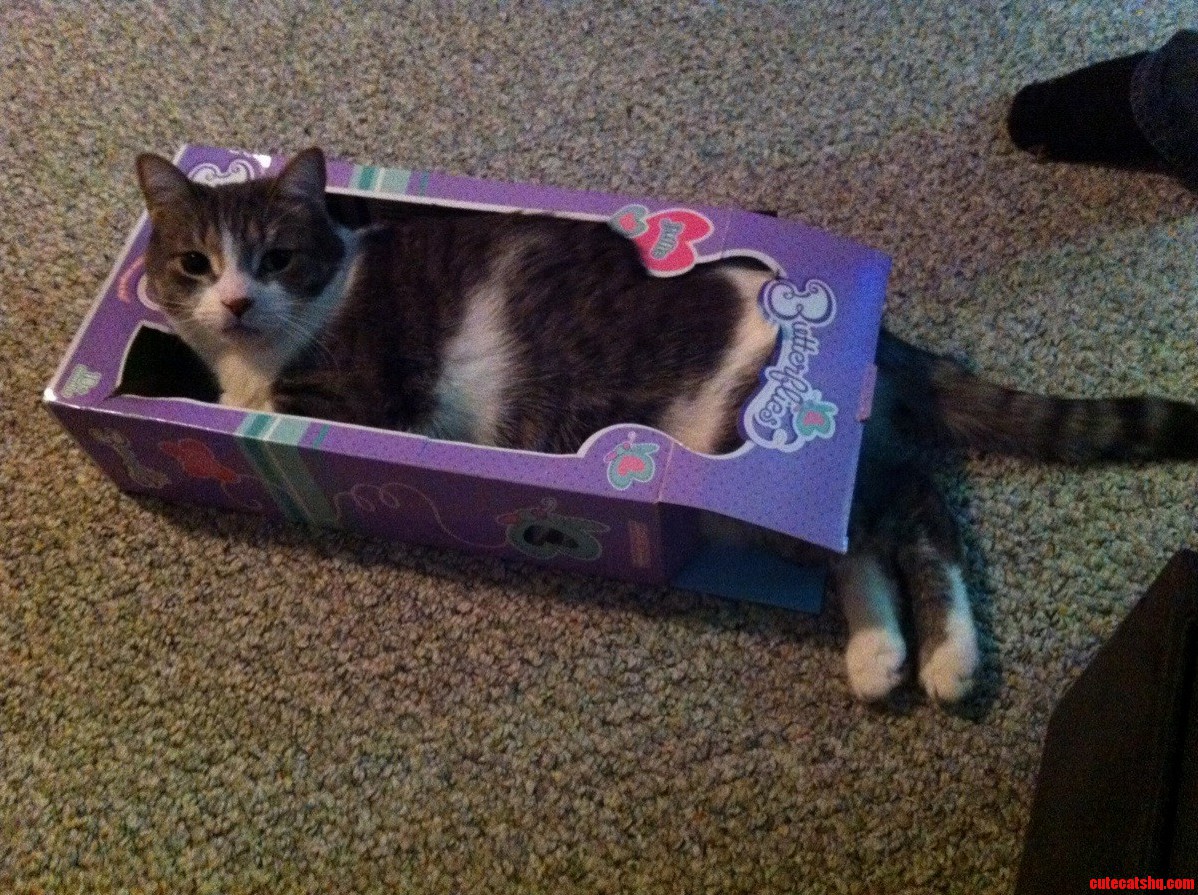Am I Catting Correctly
