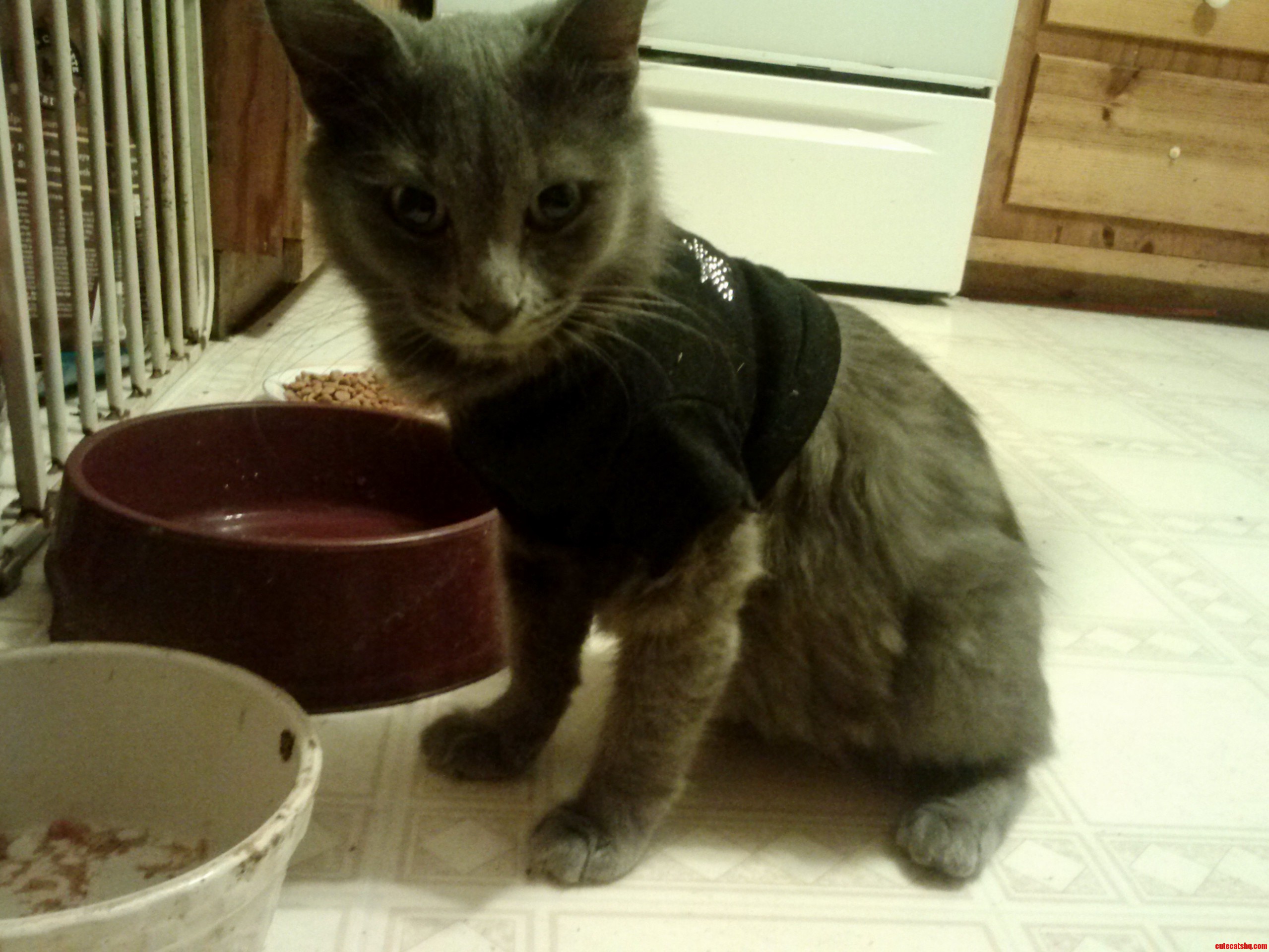 Ashby- I Am Not Amused Mommy