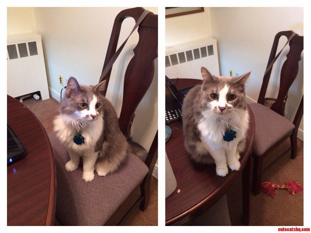 Babysitting This Beauty Kira