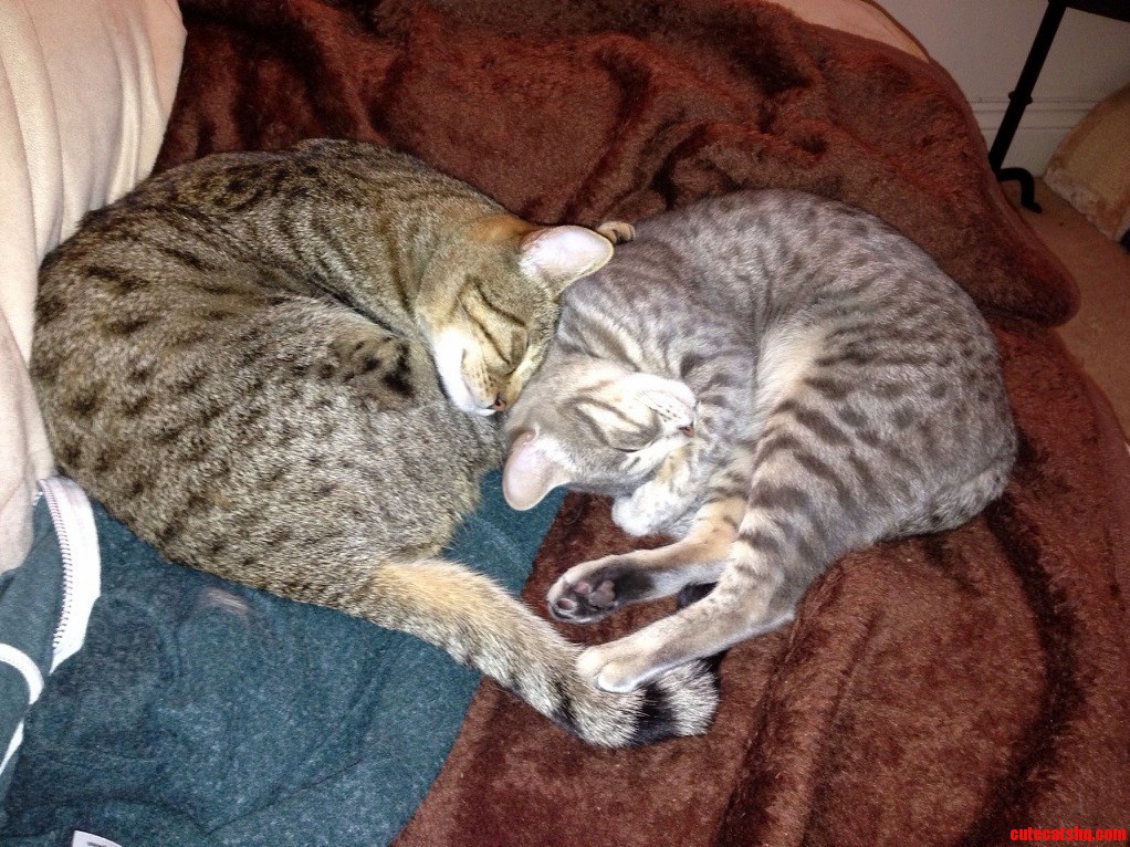 Brother and Sis