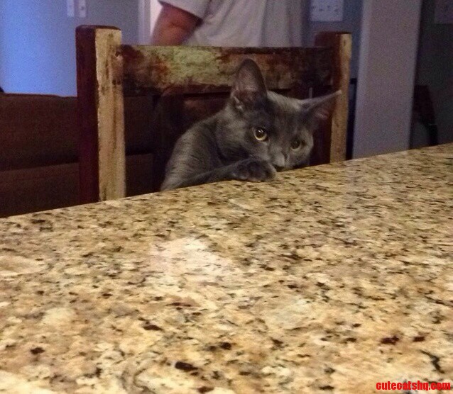 But Dad Wheres My Plate