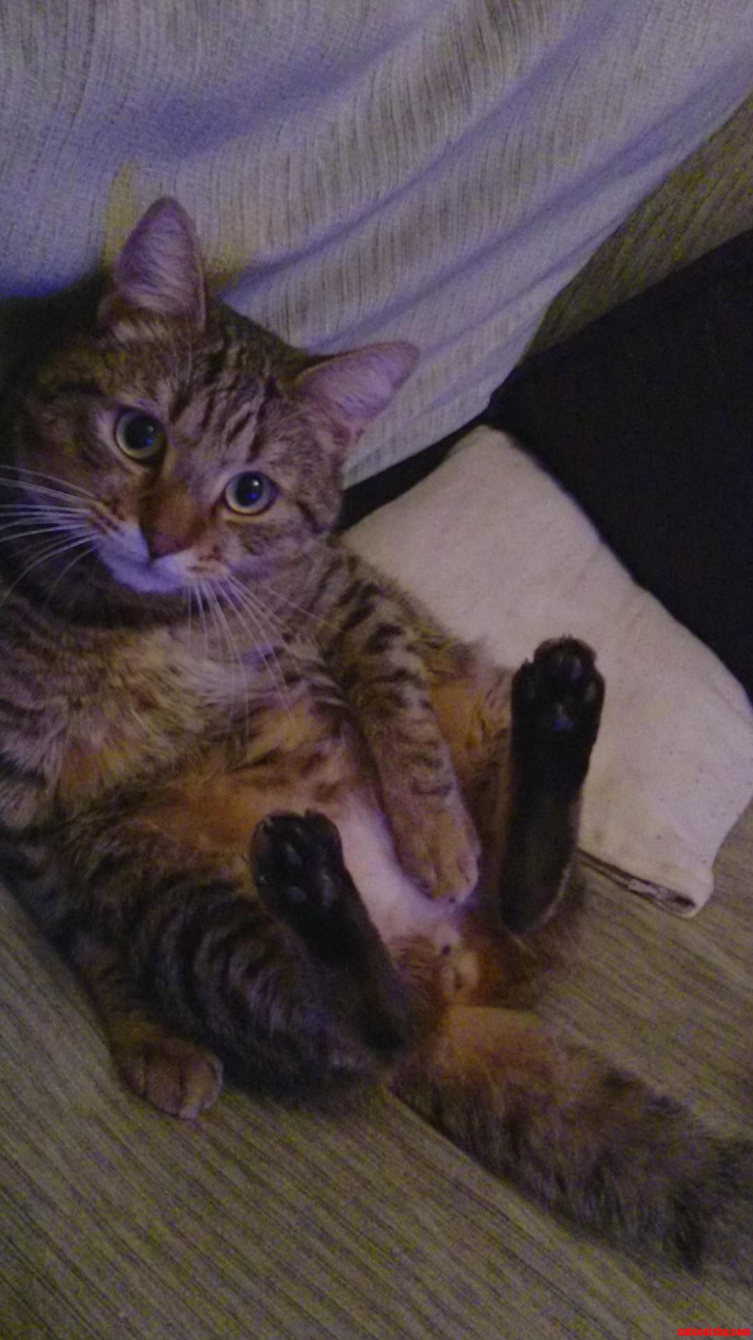 Caught in the Act