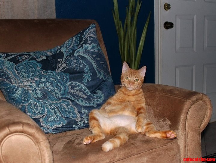 Chillin