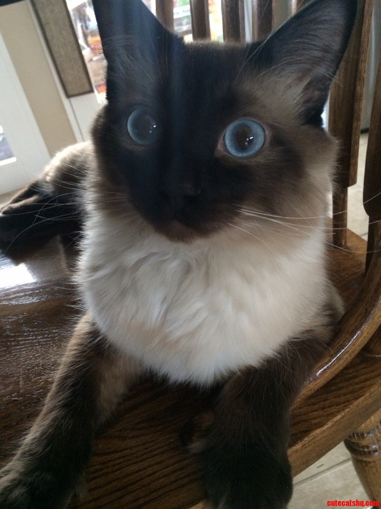 Cooper Is a Doll