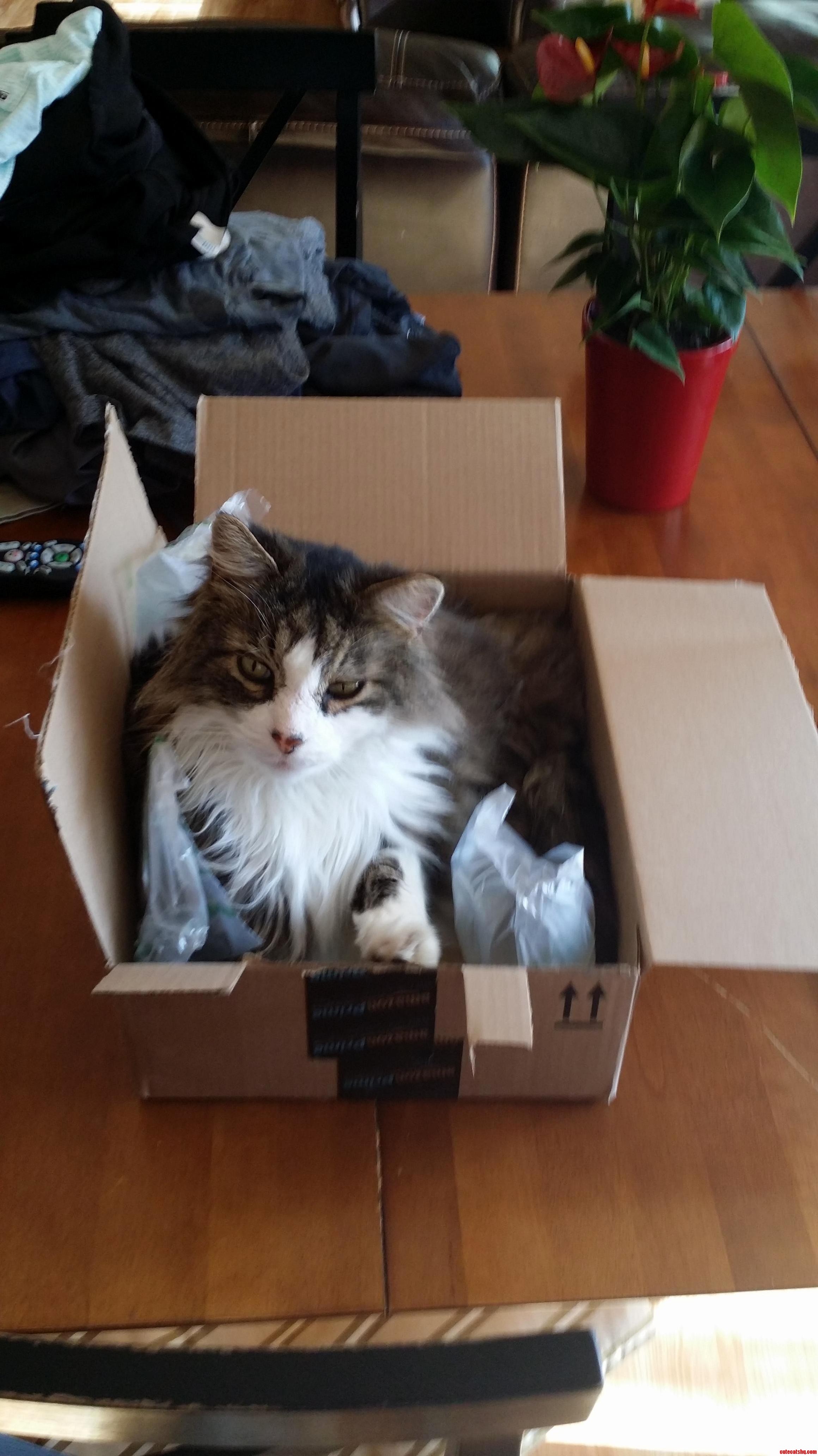 Delivery