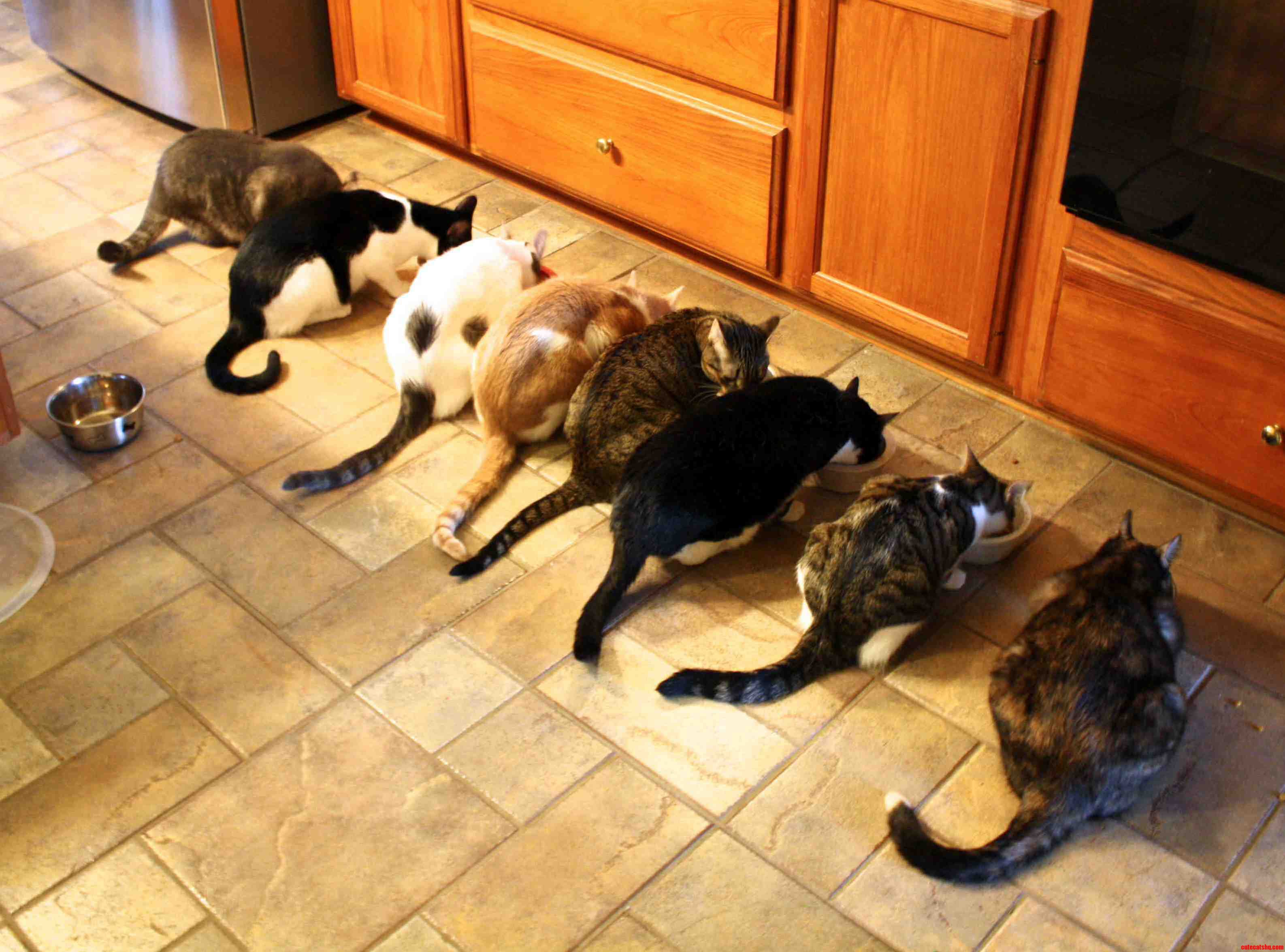 Dinnertime