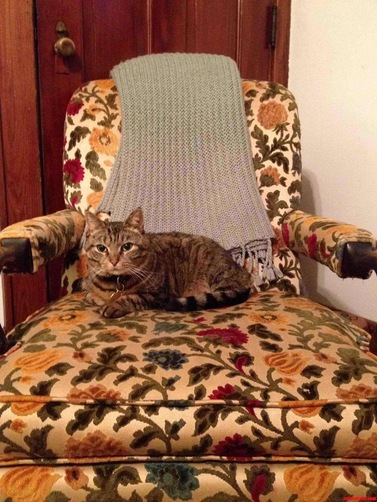 Enjoying Her New Chair