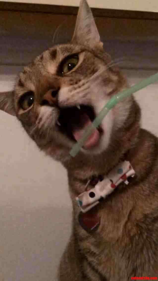 Ermahgerd Straws