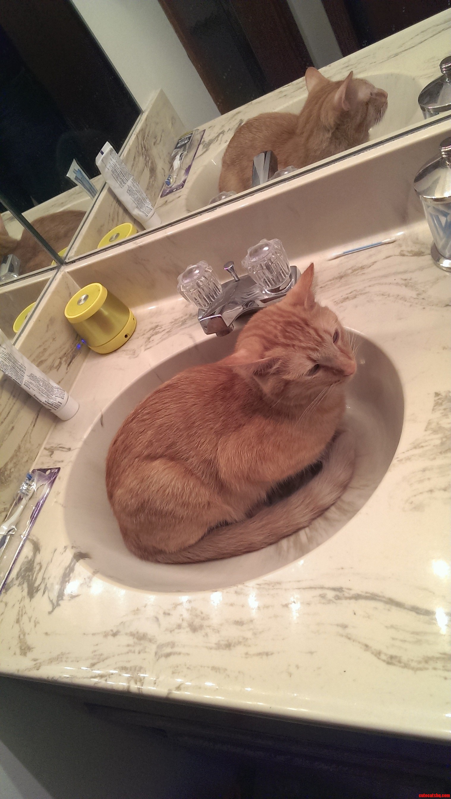 Every Morning I Wake Up to This. It Makes Me Wish I Had a Remote Activated Faucet -