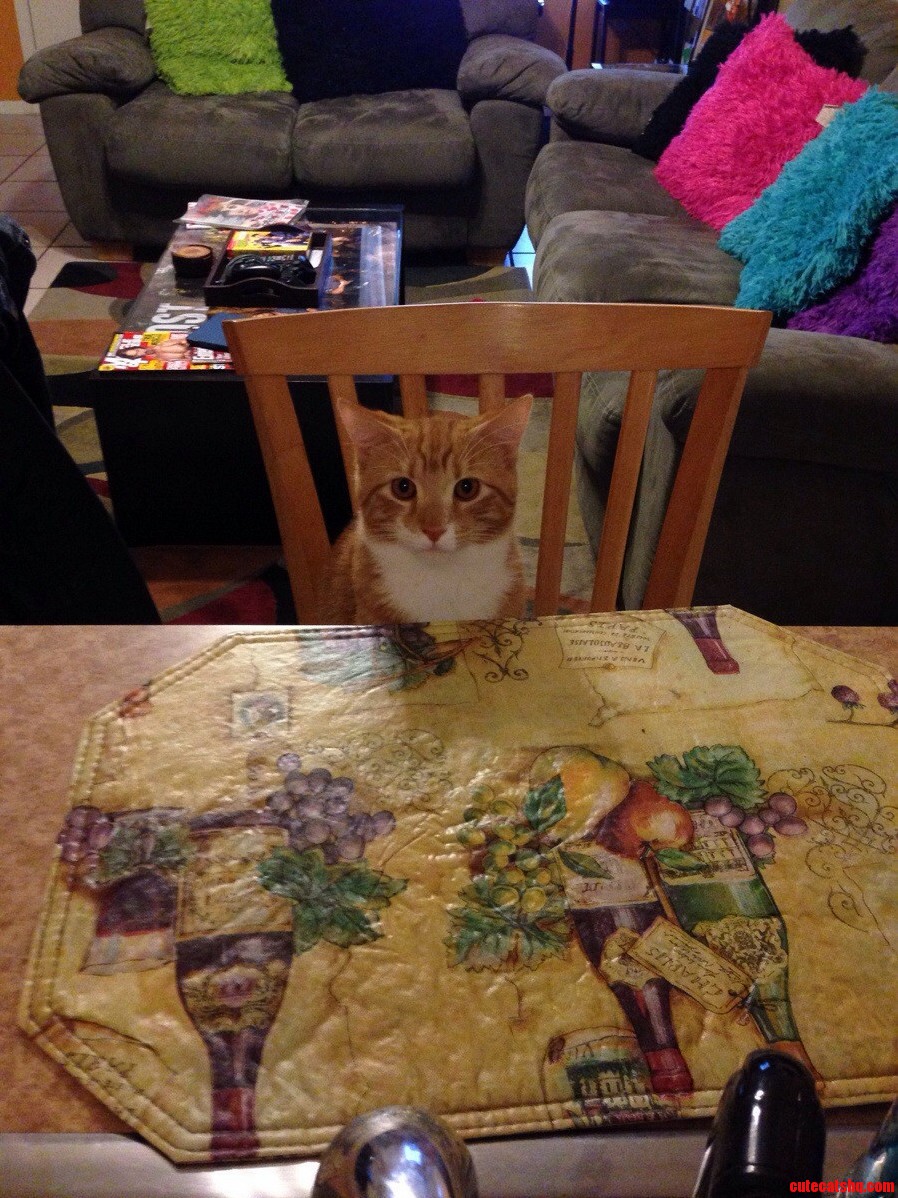 Feed Me Human You Cant Resist This Face.