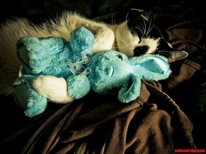 Figaro and Ol Blue -- Youre My Boy Blue