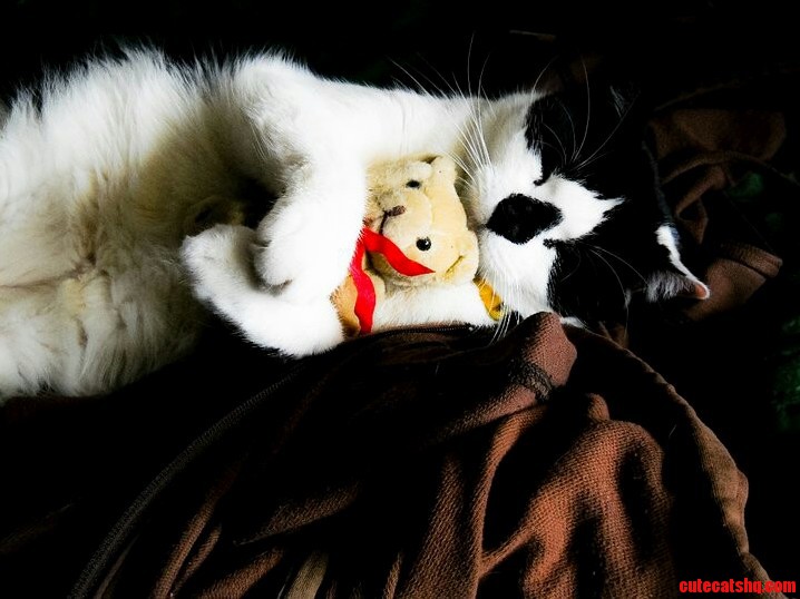 Figaro Theodore