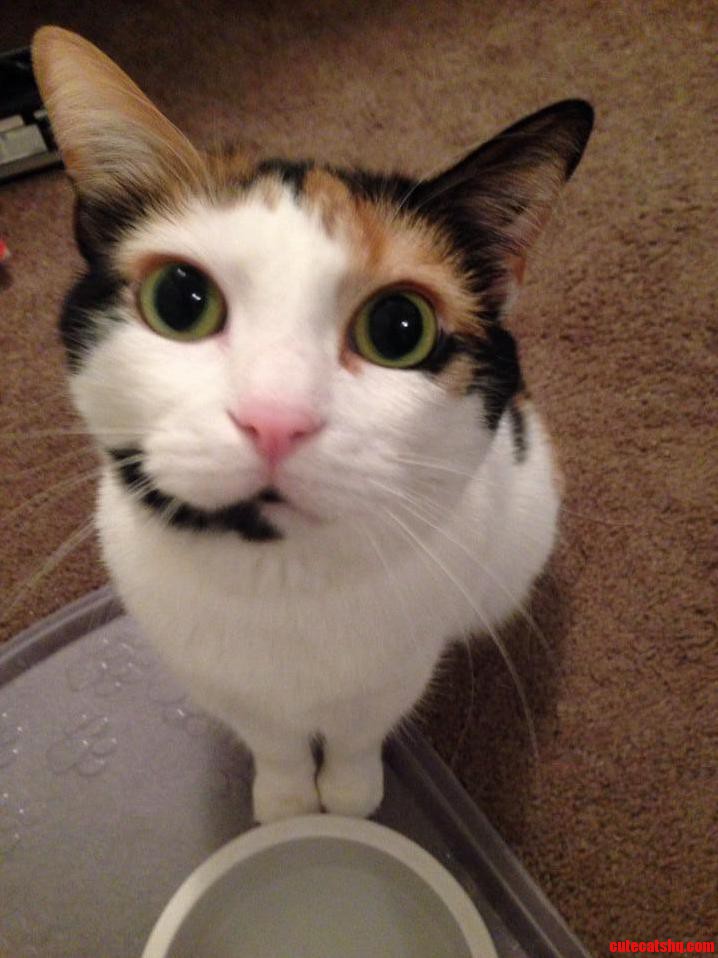 Finally Got Her to Pose