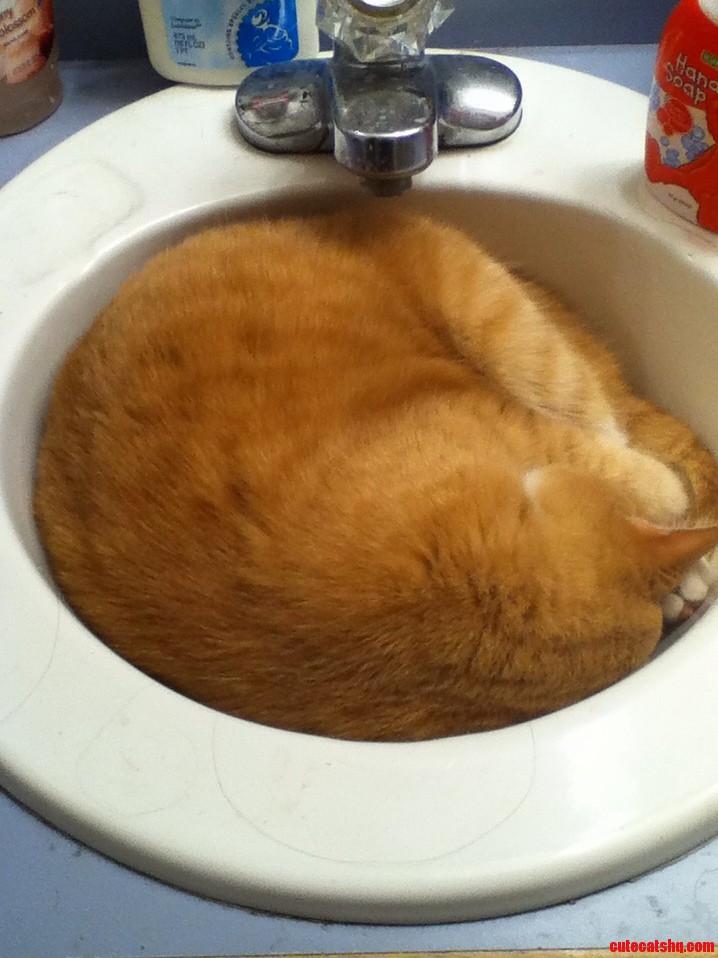 Gabe Used to Sleep in the Sink.