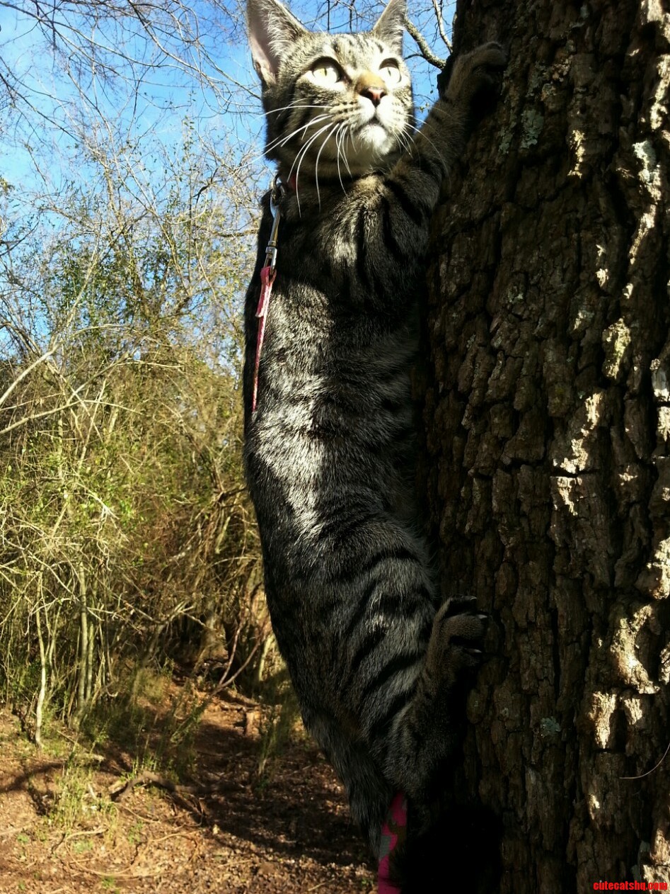Getting a Better View.