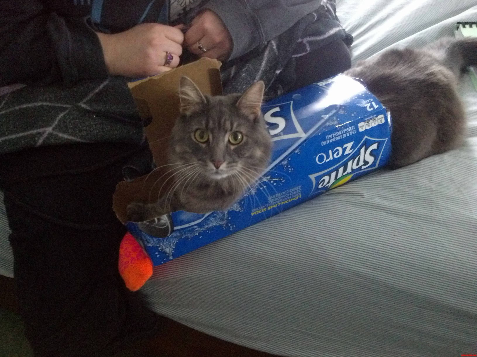 He Doesnt Fit Like He Used To.