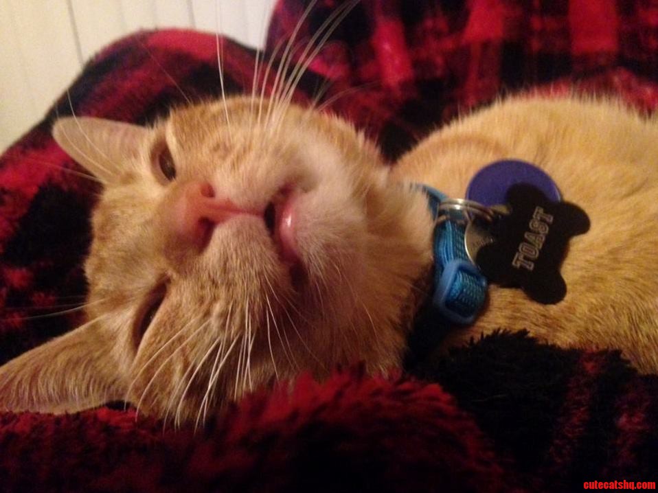 He Snores or He Sleeps with His Mouth Open. Love Him.