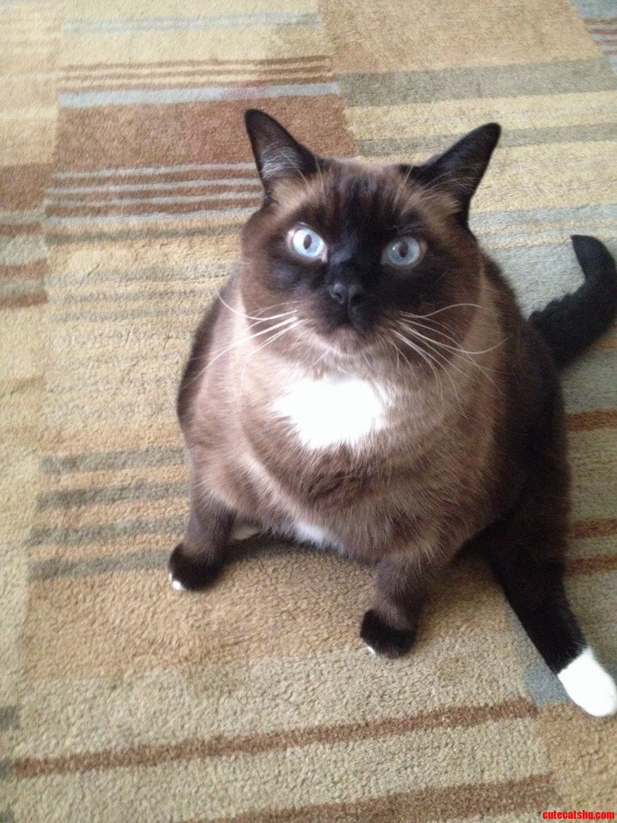 He Wants Another Treat...