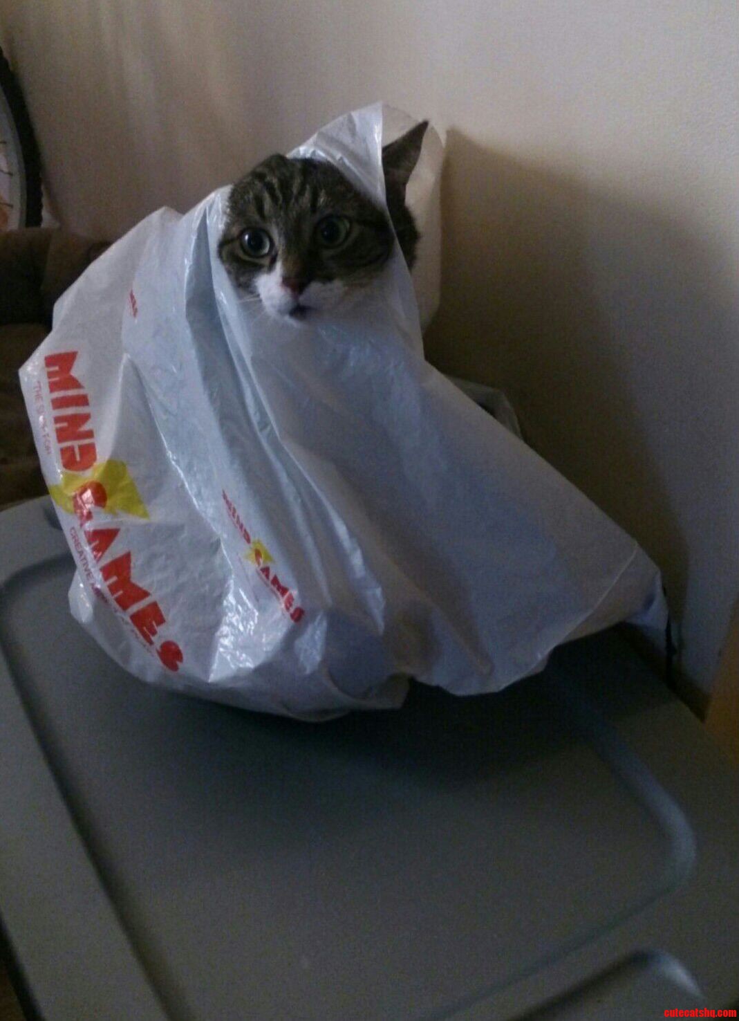 He Was Like This for Ten Minutes