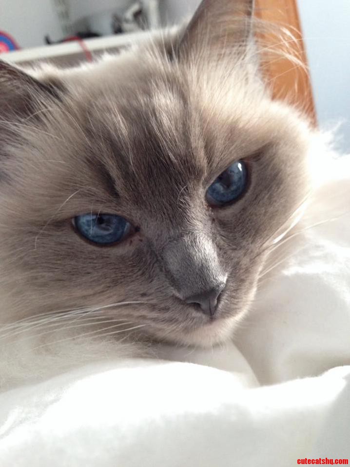 Her Eyes Go Like This When Its Sunny Outside