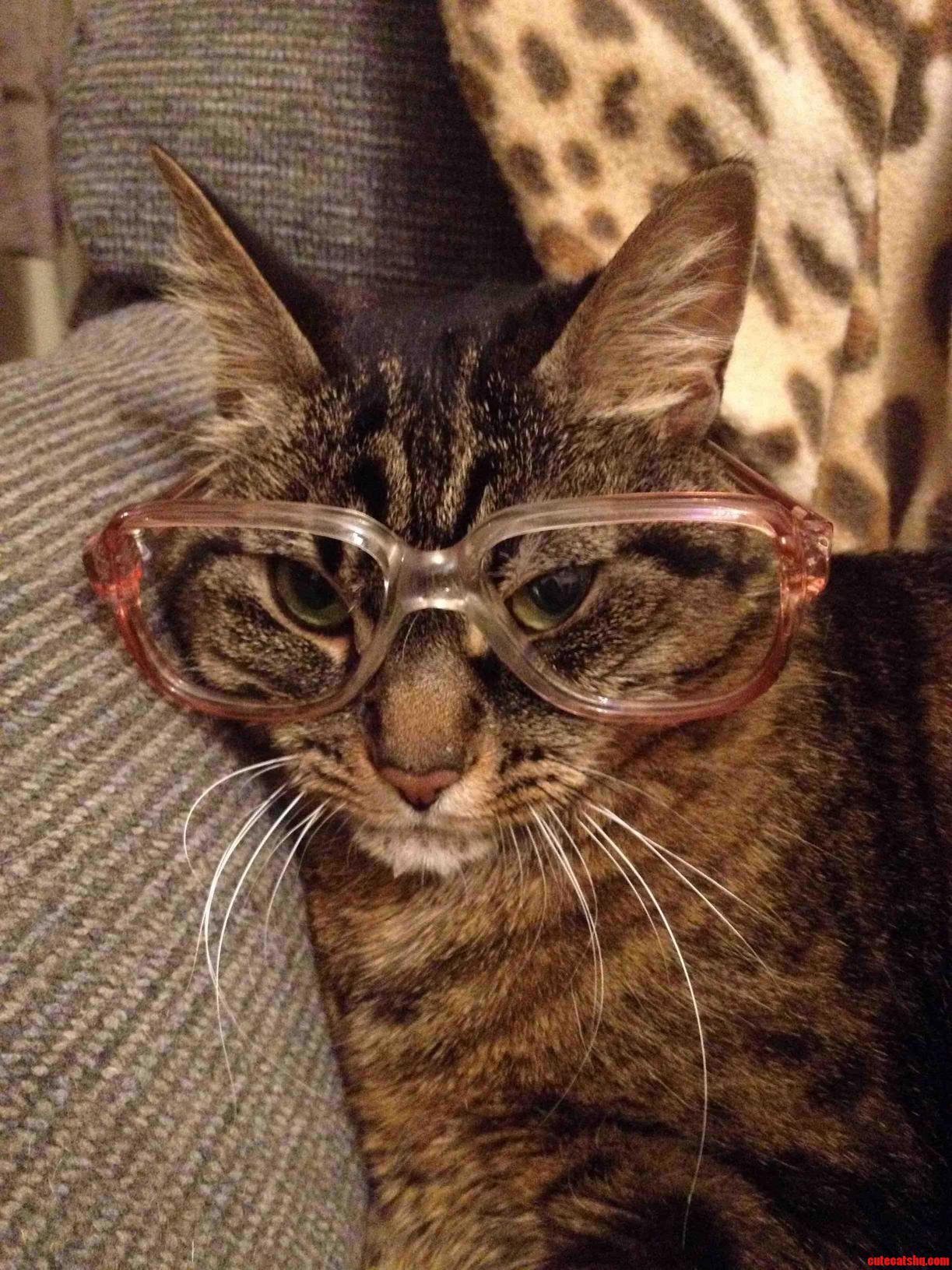 Her Eyes Show Shes Clearly Planning Revenge.