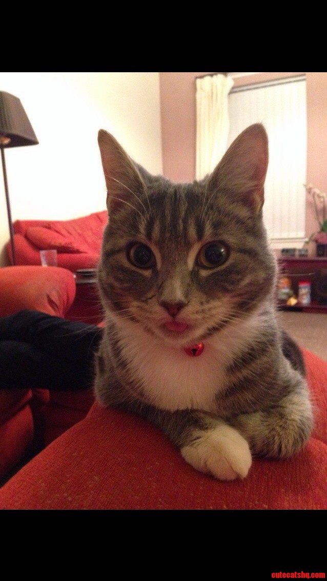 Her Serious Face.