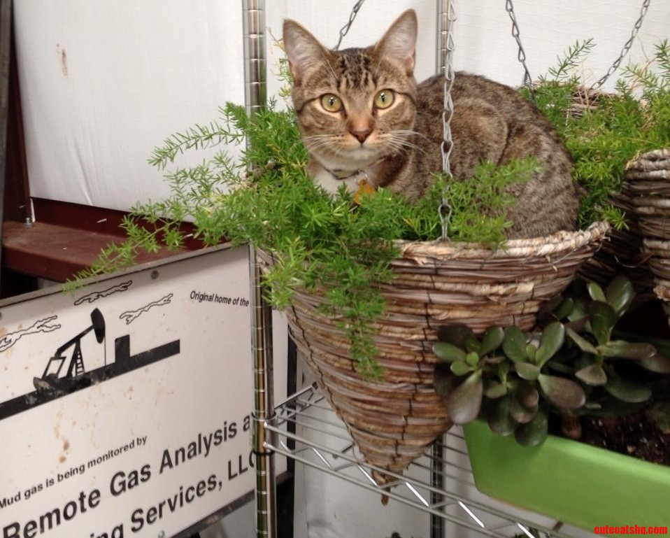 Her Unique Resting Space.