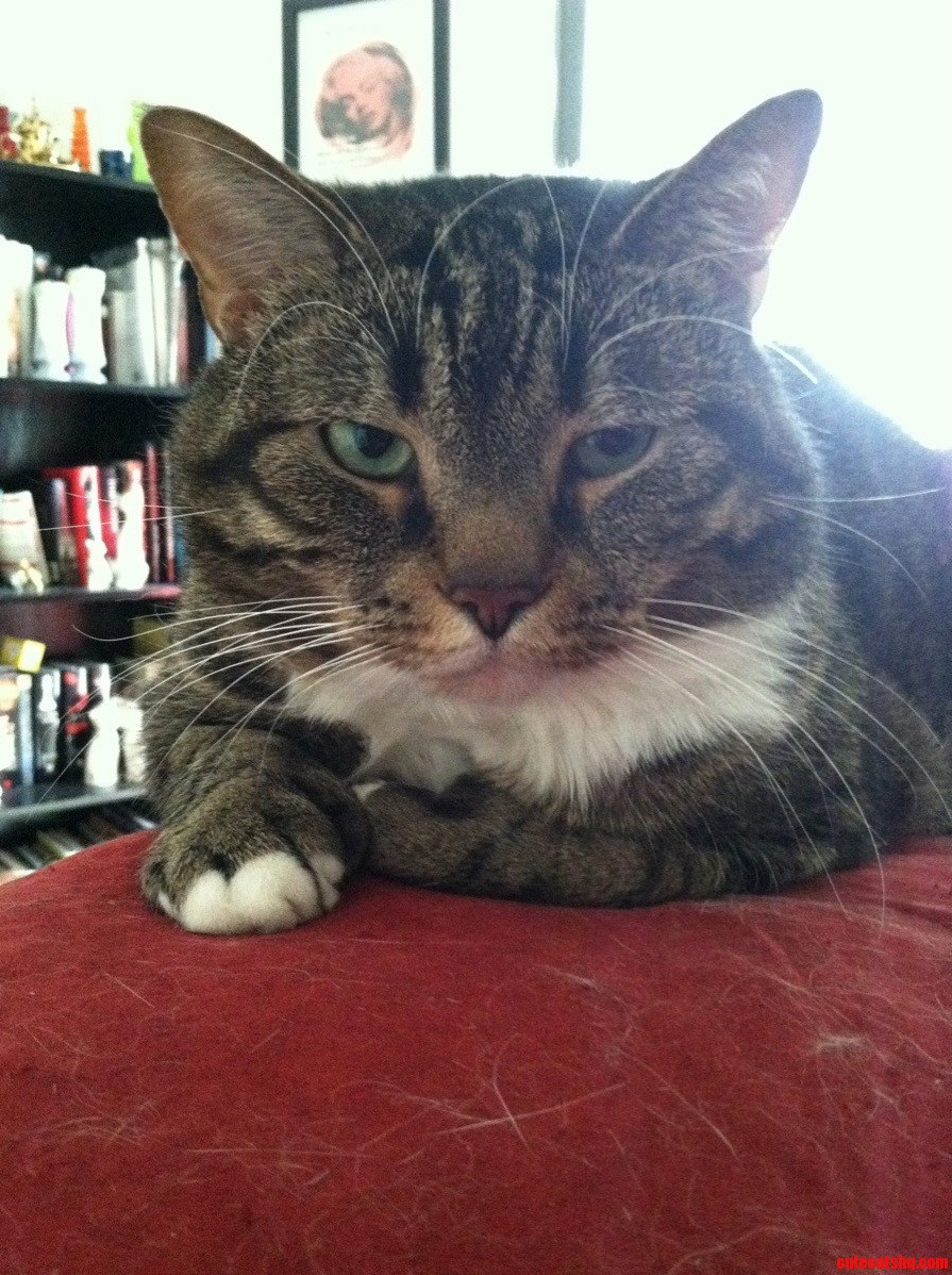 Hes Had Enough of My Shenanigans