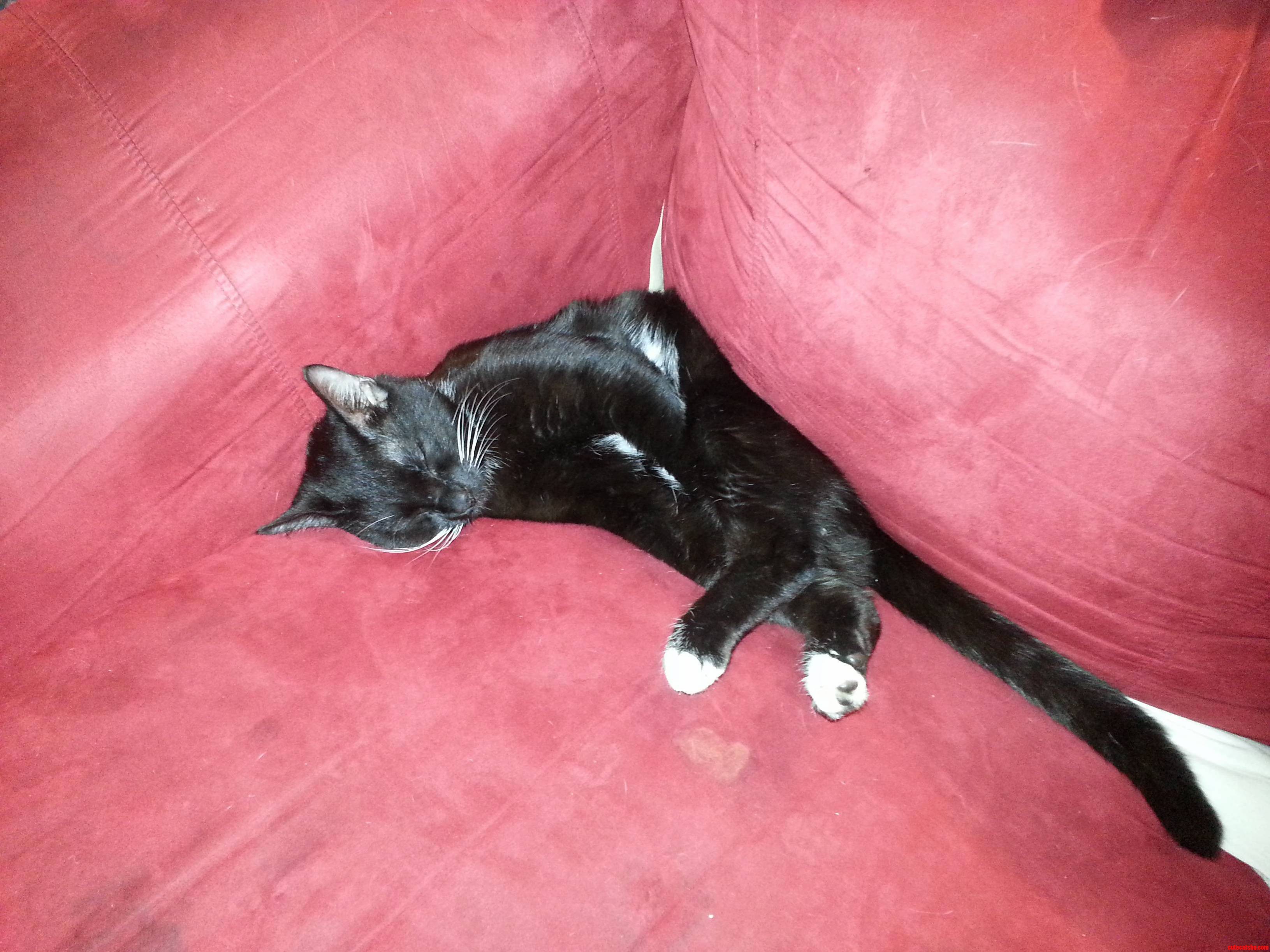 Hes Sinking Into the Chair