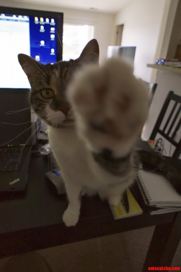 High Five Me