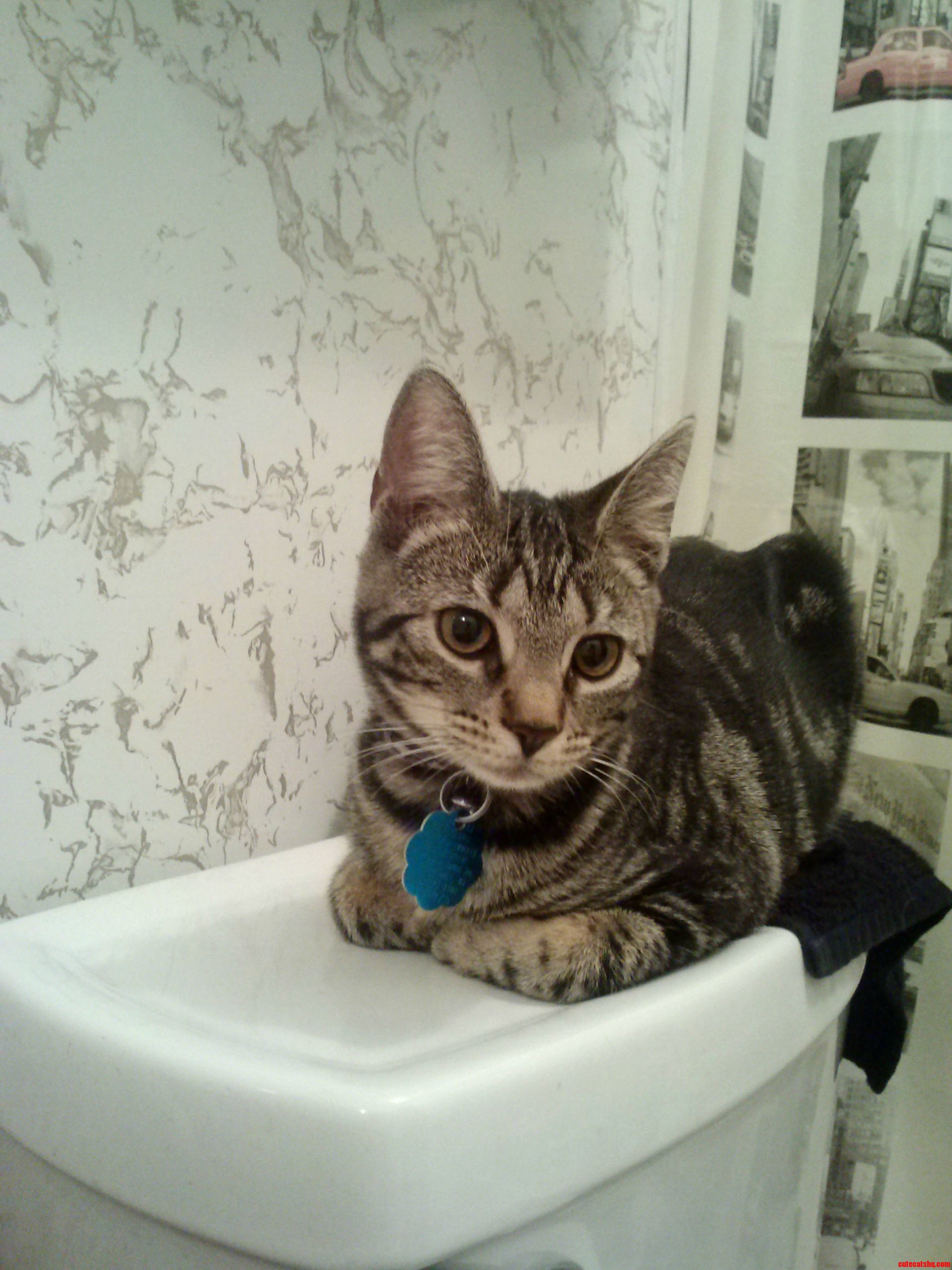 How Could I Ever Say No to This Face