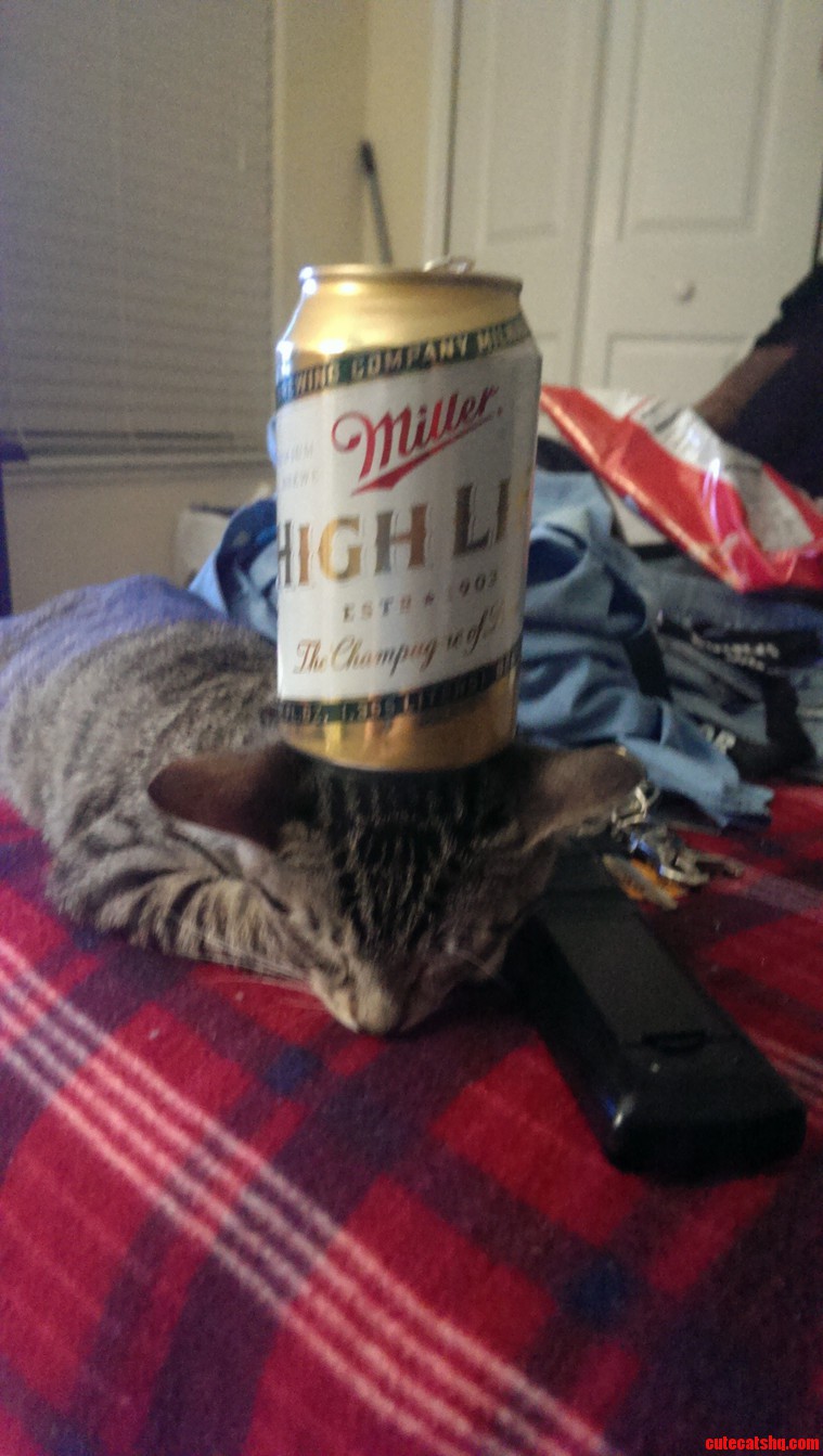 I Achieve Perfect Balance