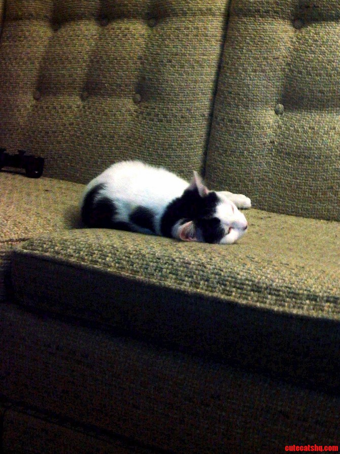I Caught Ion Sleeping.