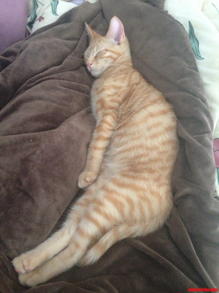 I Guess I Ll Be Sleeping on the Couch...