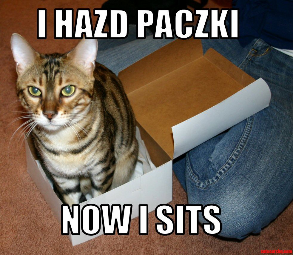 I Hazd Paczki Now I Sits