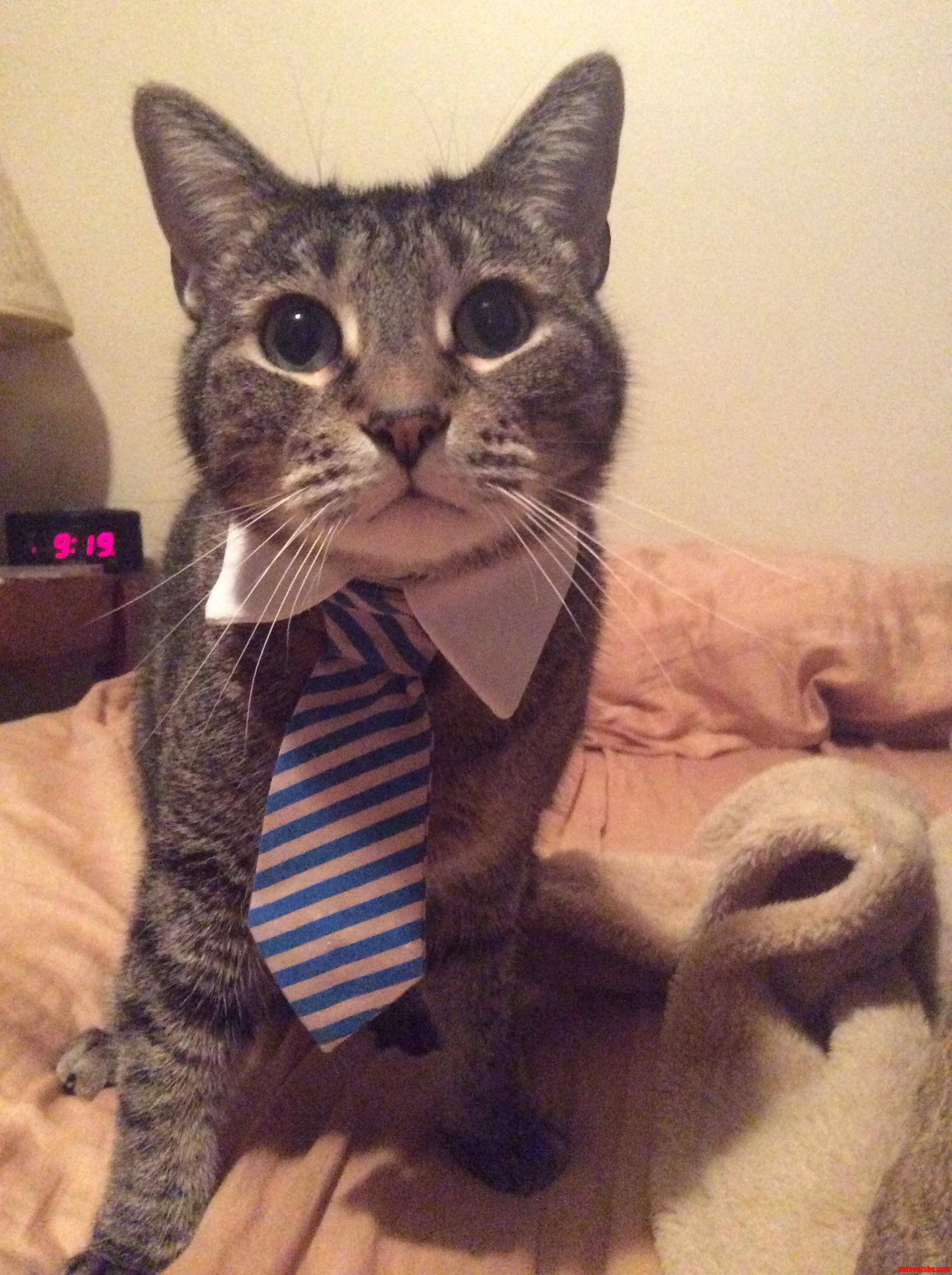 I Think He Likes His New Tie