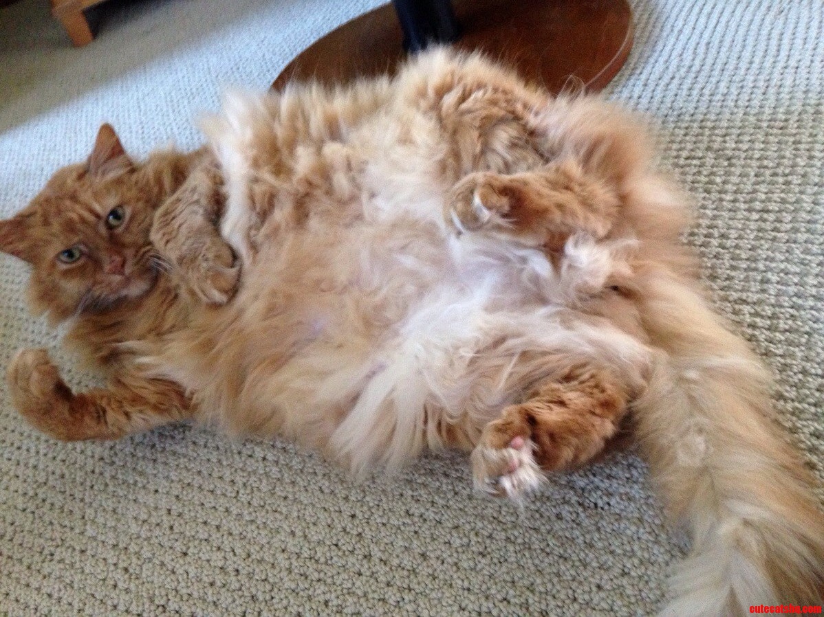 I Too Have a Great Picture of Olive