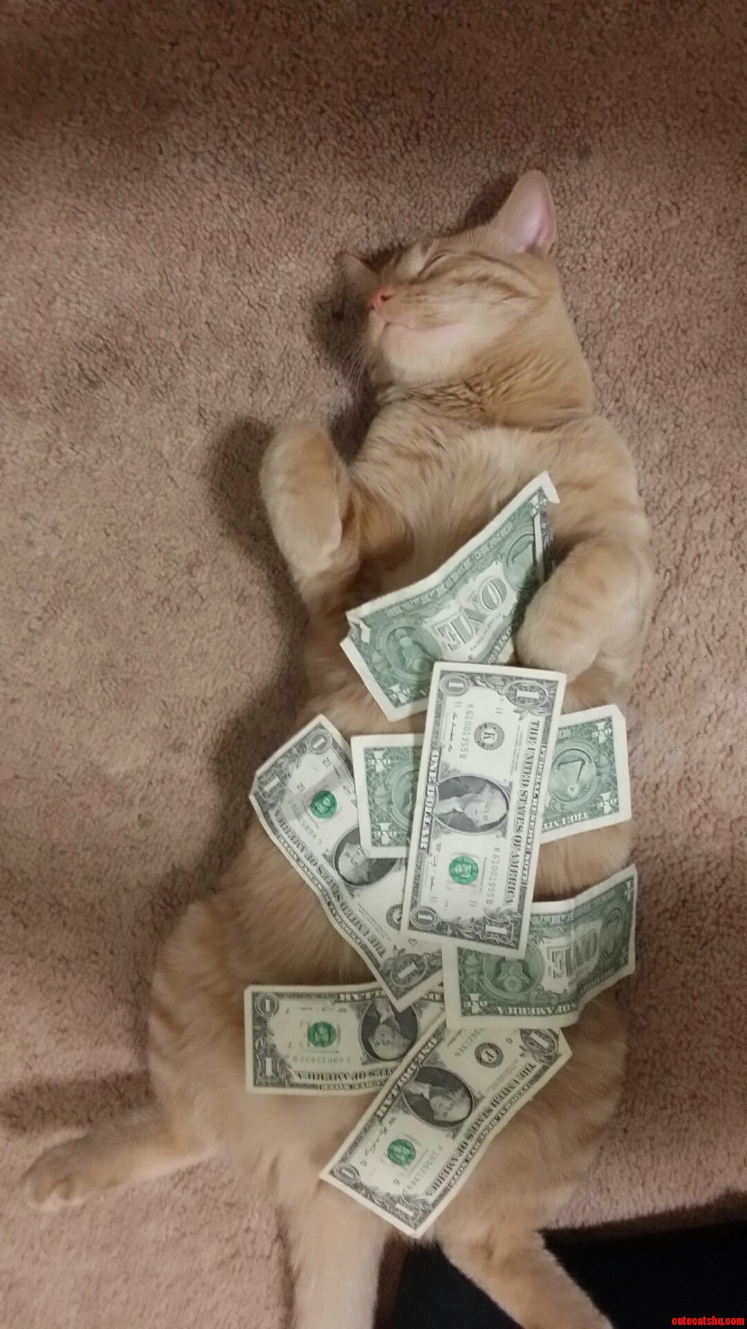 If You Aint Talking Money I Dont Want to Talk
