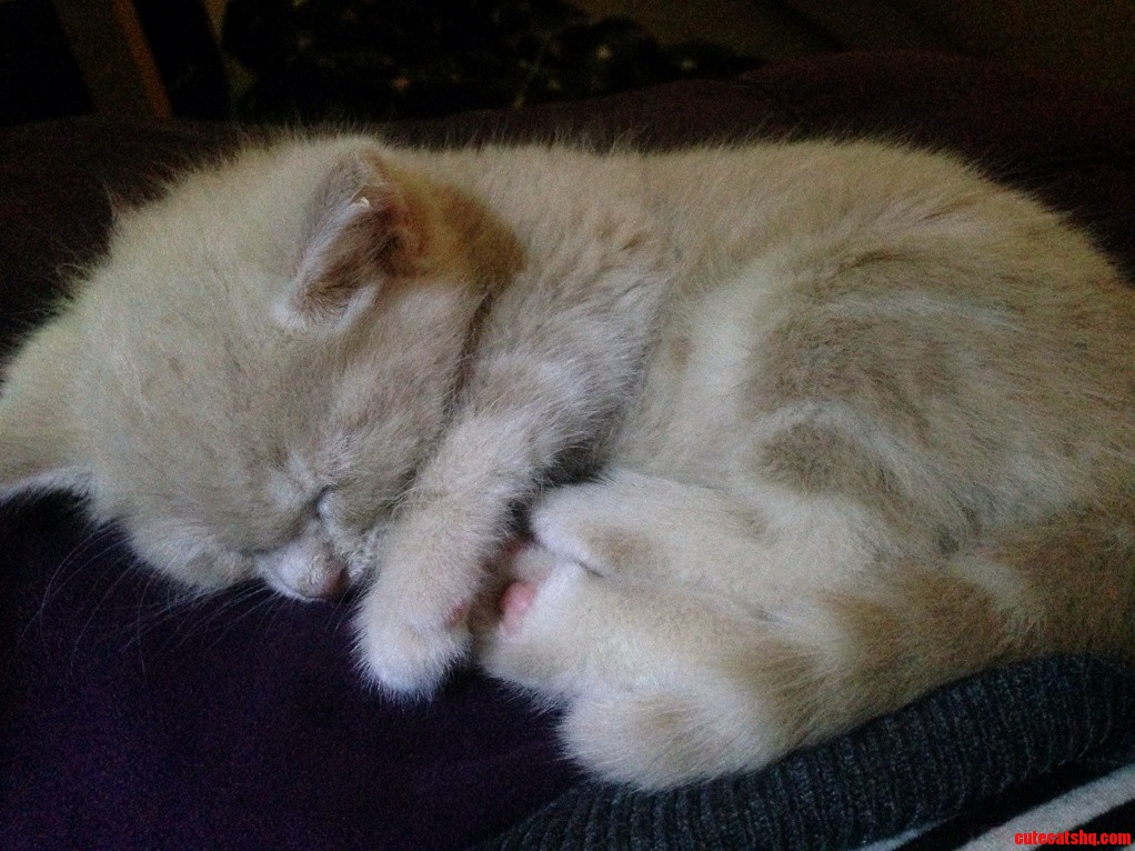 Its a Hard Life Being This Small X