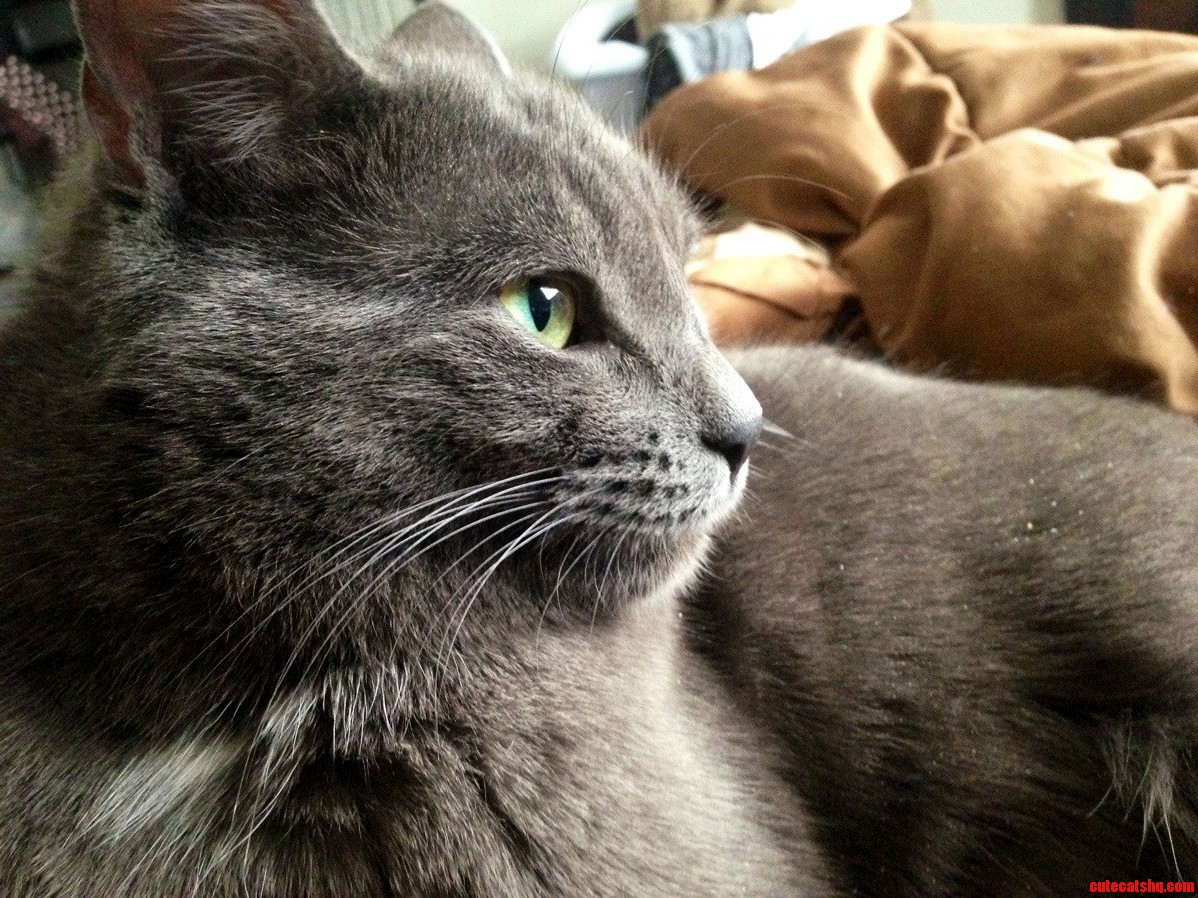 Its a Miracle He Let Me Take a Picture