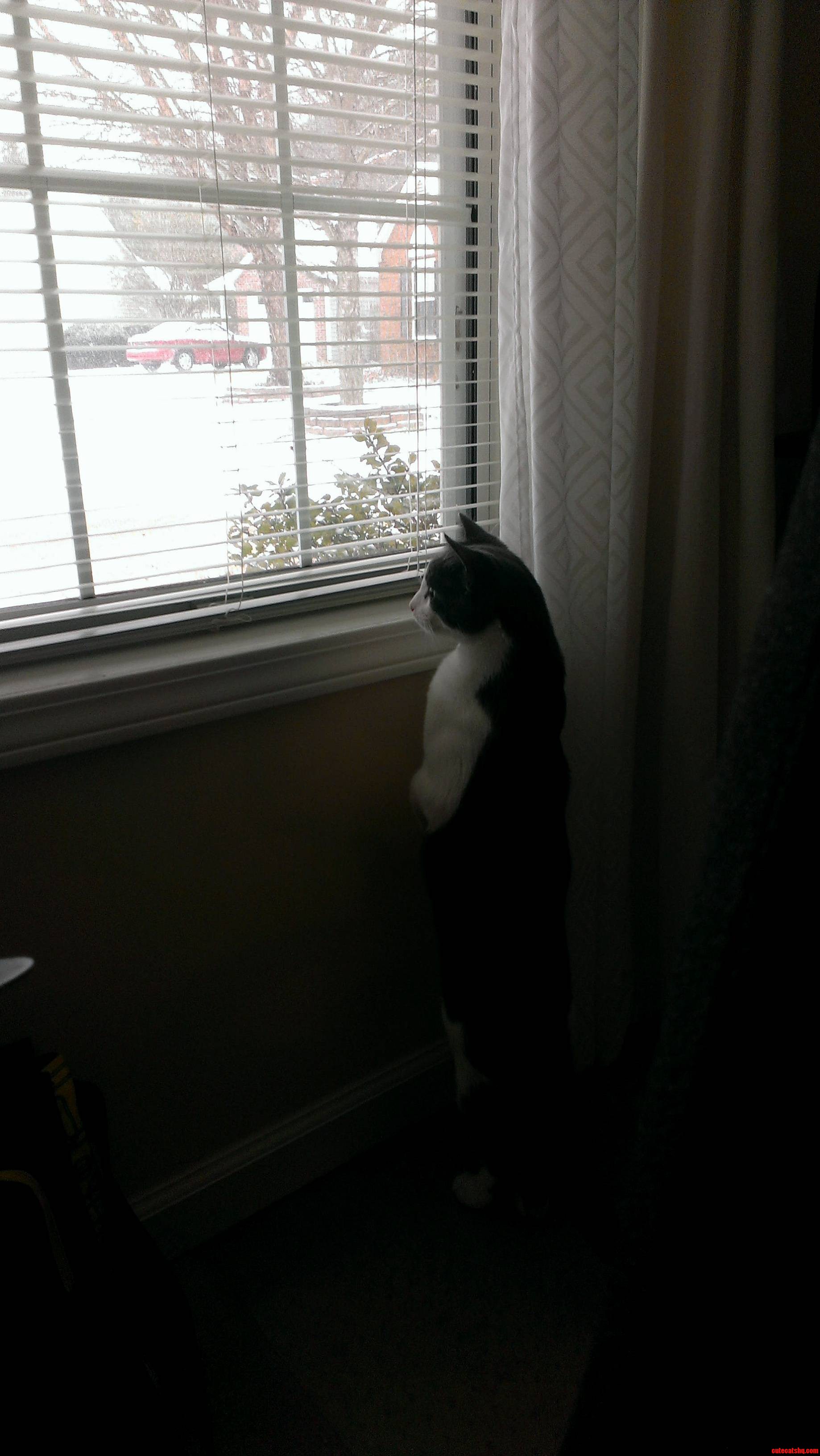 Jacks First Snow