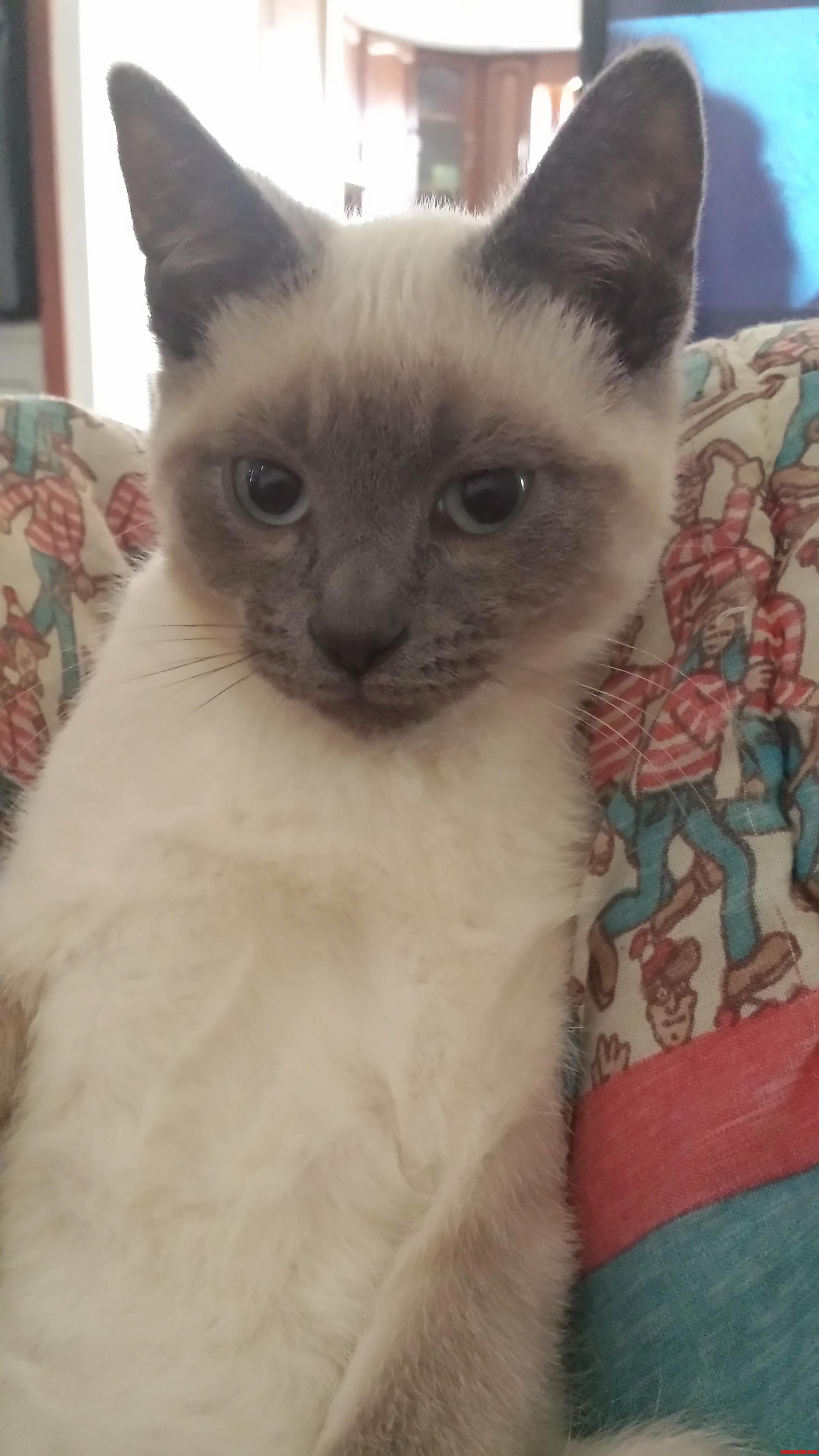Jupiter Is Getting So Big Already